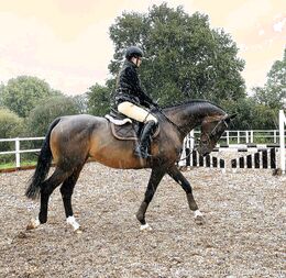 Rebecca Roze (itsamarafox)