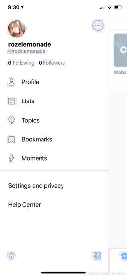 Rebecca Roze (itsamarafox)