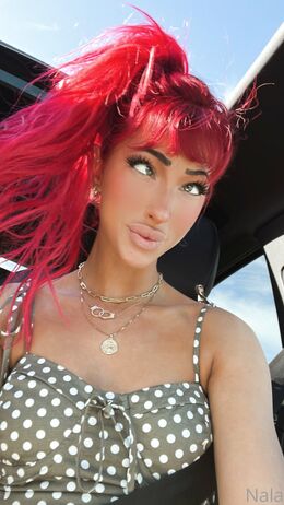 Nala Ray