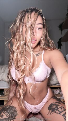 Sasha Loves