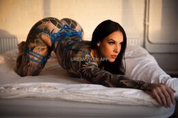 Urban Vixen